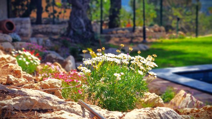 Image No.7-3 Bed Villa for sale