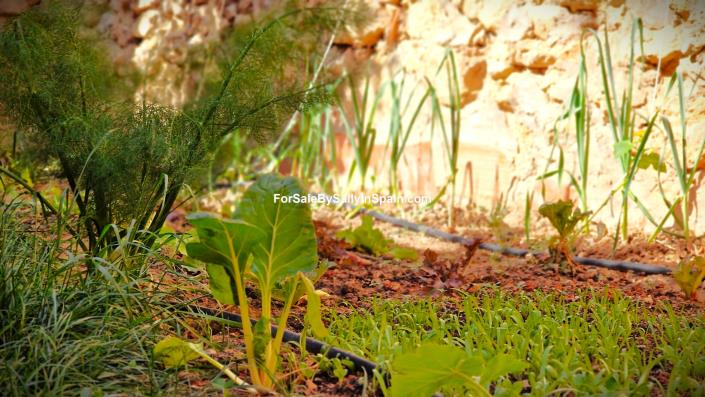 Image No.6-Maison de ville de 5 chambres à vendre à Castelló de Rugat