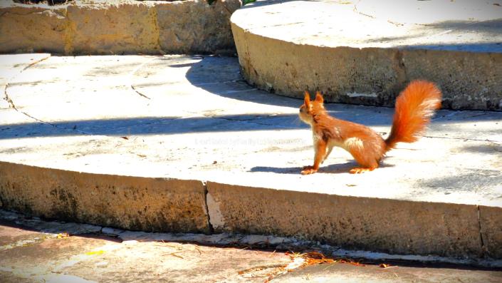 Image No.11-Villa de 3 chambres à vendre à Barx