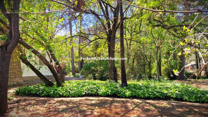 Image No.17-Villa de 3 chambres à vendre à Barx