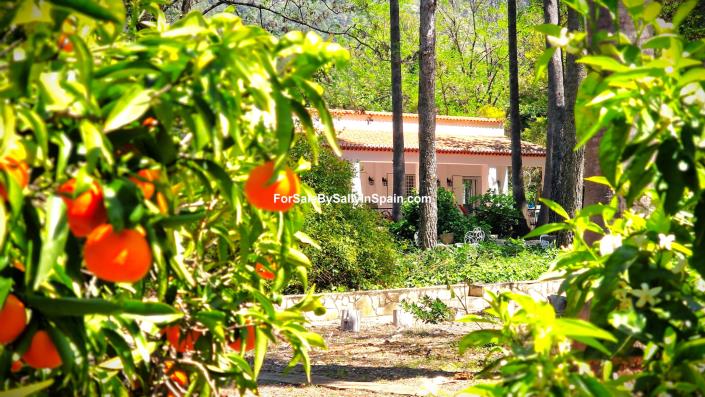 Image No.22-Villa de 3 chambres à vendre à Barx