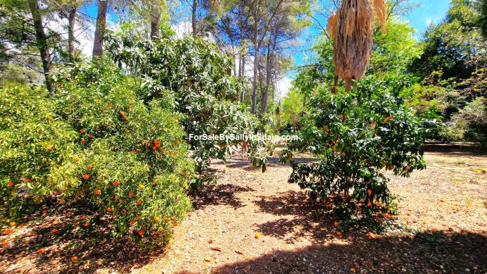 Image No.20-Villa de 3 chambres à vendre à Barx