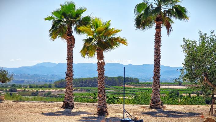 Image No.32-Villa de 3 chambres à vendre à L`Ollería