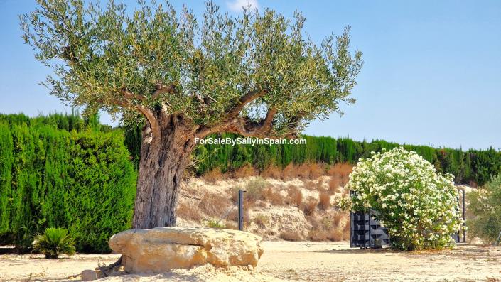 Image No.39-Villa de 3 chambres à vendre à L`Ollería