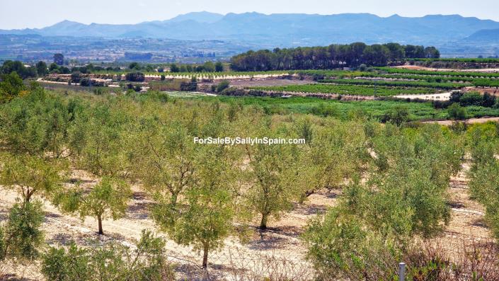 Image No.6-Villa de 3 chambres à vendre à L`Ollería