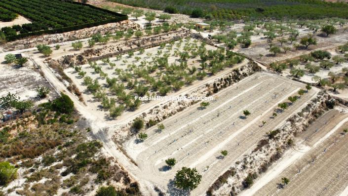 Image No.41-Villa de 3 chambres à vendre à L`Ollería