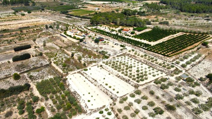 Image No.42-Villa de 3 chambres à vendre à L`Ollería