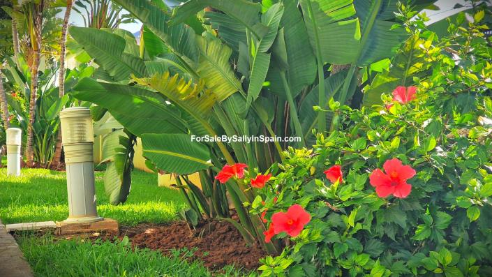 Image No.12-Appartement de 2 chambres à vendre à Denia