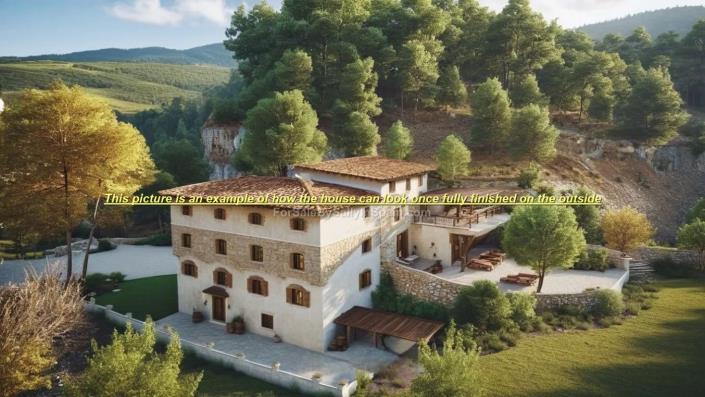 Image No.4-8 Bed Finca for sale