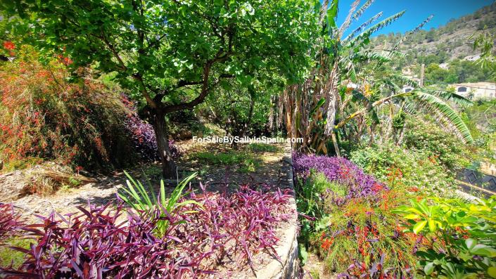 Image No.23-Villa de 4 chambres à vendre à Gandía