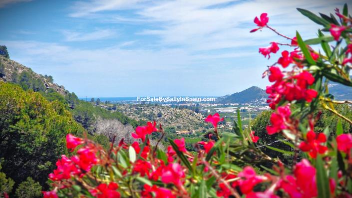 Image No.5-Villa de 4 chambres à vendre à Gandía