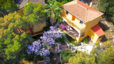 dji_fly_20250603_113522_848_1748943331622_photo_optimized