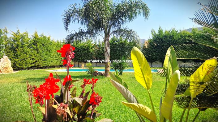 Image No.5-Villa de 3 chambres à vendre à Alzira