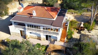 dji_fly_20250204_150408_512_1738689316269_photo_optimized