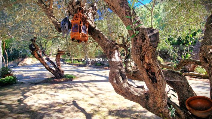 Image No.9-2 Bed Villa for sale