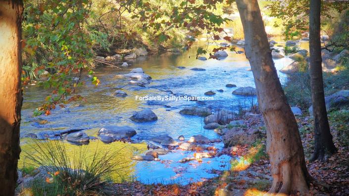 Image No.7-2 Bed Villa for sale