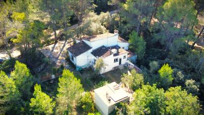 dji_fly_20251030_115338_536_1761821640492_photo_optimized