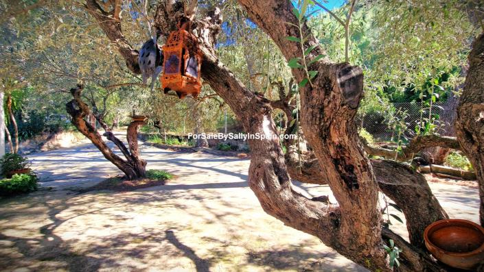 Image No.15-2 Bed Villa for sale