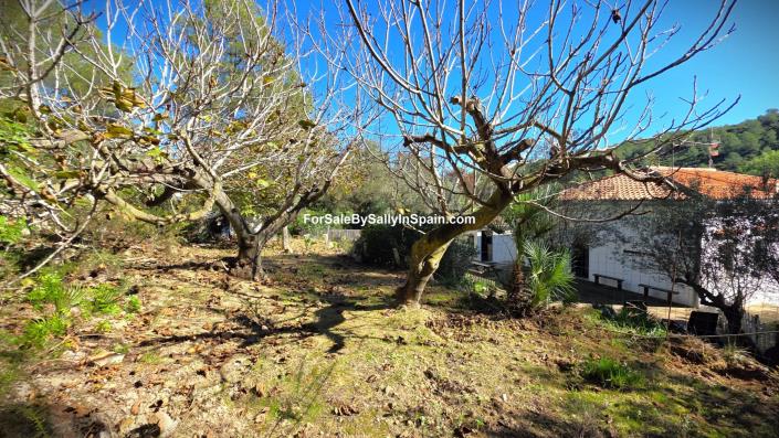 Image No.42-4 Bed Villa / Detached for sale