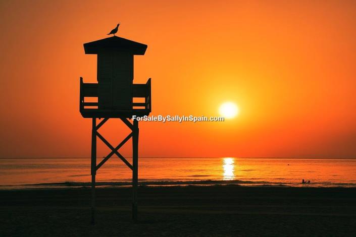 Image No.54-4 Bed Villa / Detached for sale