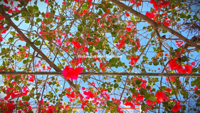 Image No.4-4 Bed Townhouse for sale