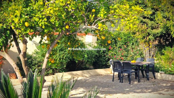 Image No.7-Villa de 4 chambres à vendre à Benigánim