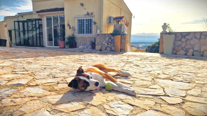 Image No.15-Villa de 4 chambres à vendre à Benigánim