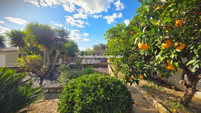 Image No.49-Villa de 4 chambres à vendre à Benigánim