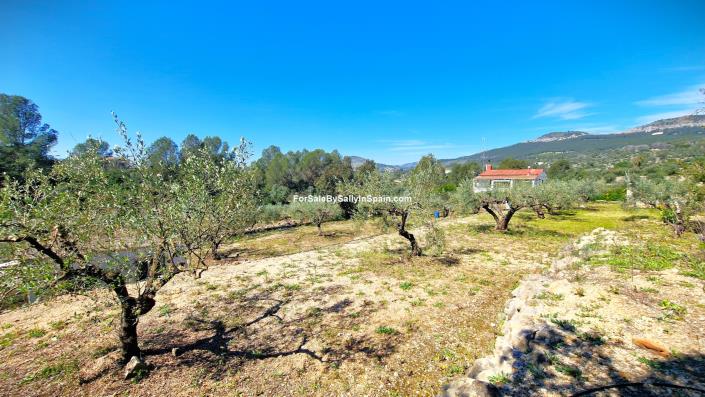 Image No.44-Villa de 3 chambres à vendre à Benigánim