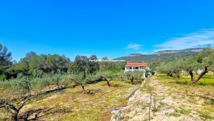 Image No.45-Villa de 3 chambres à vendre à Benigánim