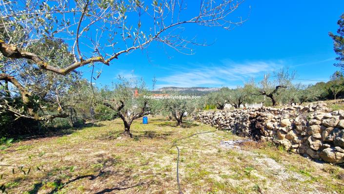 Image No.46-Villa de 3 chambres à vendre à Benigánim
