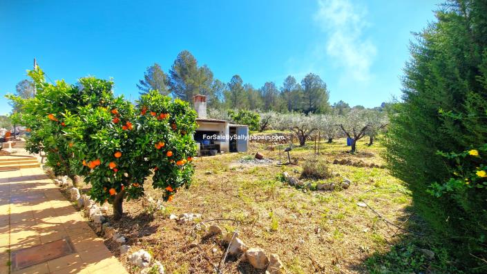 Image No.11-Villa de 3 chambres à vendre à Benigánim