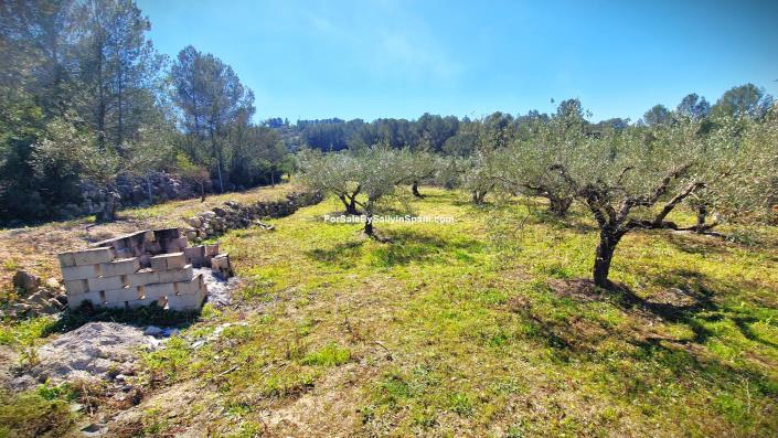 Image No.48-Villa de 3 chambres à vendre à Benigánim