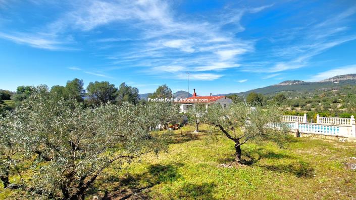 Image No.56-Villa de 3 chambres à vendre à Benigánim