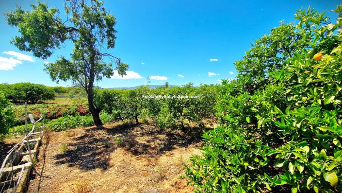 Image No.28-2 Bed House/Villa for sale