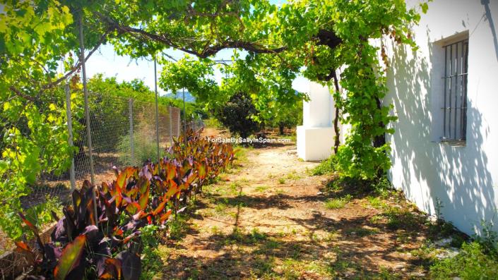 Image No.31-2 Bed House/Villa for sale