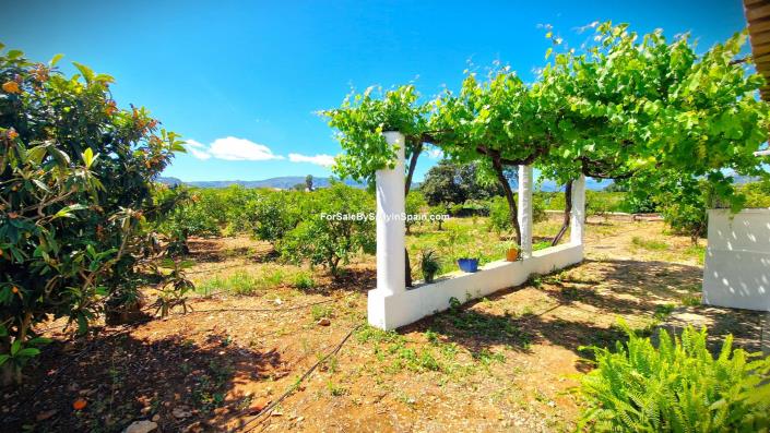 Image No.32-2 Bed House/Villa for sale