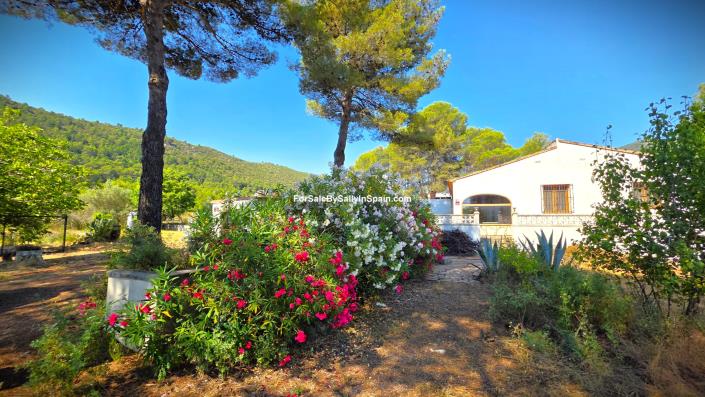 Image No.31-2 Bed Villa for sale