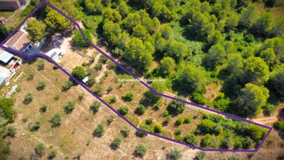 dji_fly_20260708_112728_926_1783502858467_photo_optimized