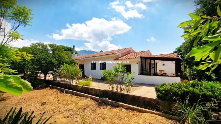 Image No.3-Villa de 4 chambres à vendre à Alzira