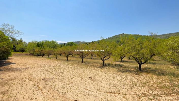 Image No.9-6 Bed Villa for sale