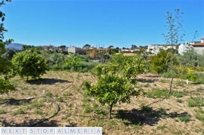 Garden/ Orchard