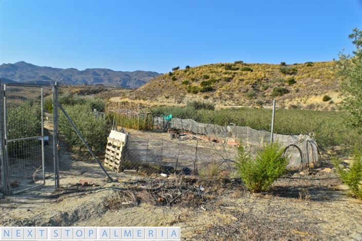 Image No.10-Propriété à vendre à Los Gallardos