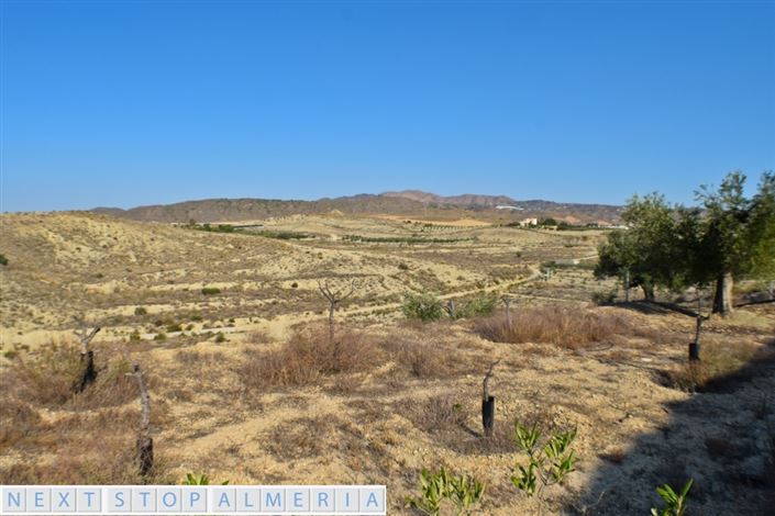 Image No.11-Propriété à vendre à Los Gallardos