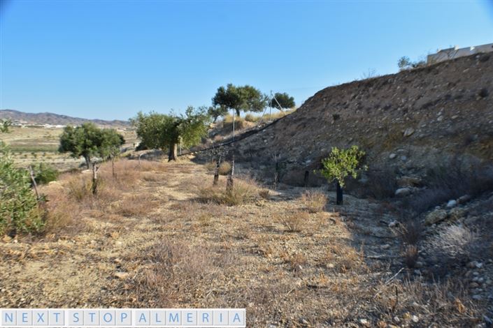 Image No.12-Propriété à vendre à Los Gallardos