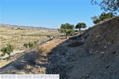 One of the terraces