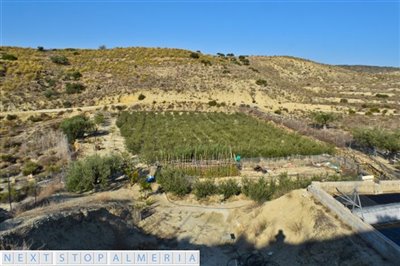 Views of the plot