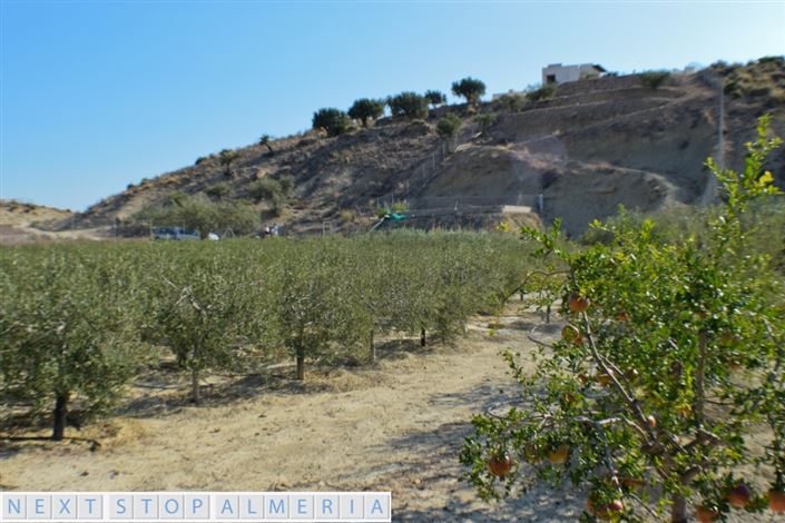 Image No.3-Propriété à vendre à Los Gallardos