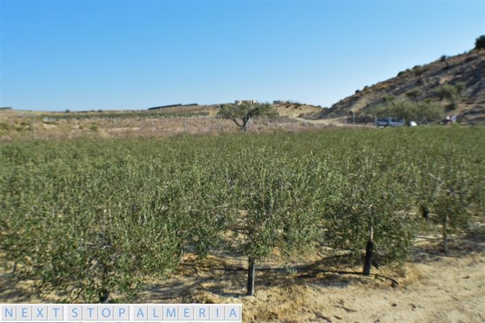 Image No.5-Propriété à vendre à Los Gallardos