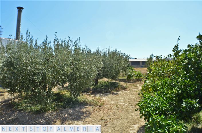 Image No.12-Commercial for sale